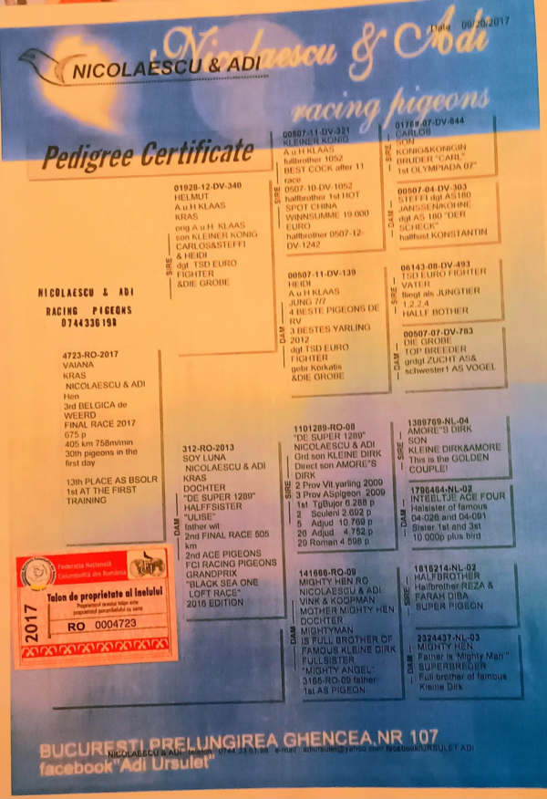 RO 4723 2017 Adi Ursulet 3 Final Black Sea OLR 2017 405km 675p Father to:  3 AllRound Ilfov 2 Yers 2020-2021 1    433p  656km 14  2279p  138km 23  5444p  389km 27  9225p  231km 33  2441p  387km 37  2507p  143km 61  2455p  184km 155 3398p  387km 253 4060p  314km
