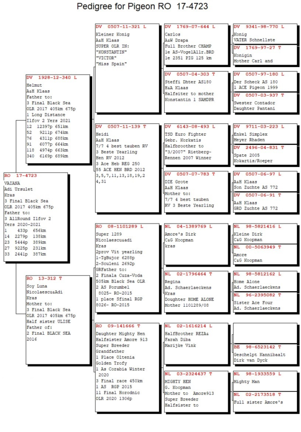 RO 4723 2017 Adi Ursulet 3 Final Black Sea OLR 2017 405km 675p Father to:  3 AllRound Ilfov 2 Yers 2020-2021 1    433p  656km 14  2279p  138km 23  5444p  389km 27  9225p  231km 33  2441p  387km 37  2507p  143km 61  2455p  184km 155 3398p  387km 253 4060p  314km