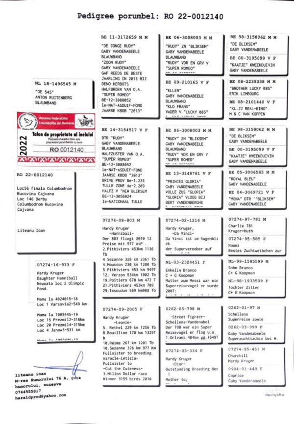RO 22-12140 Cajvanu 56 Final 490km 146 Derby 490km Cajvana OLR 2022  Halfbrother/sister super breeders:  1 AS 1095 p .   3 Finala 430km 476p   Romania Golden Pigeons   Ro 22-0974260   1 Fin 490km 970 p   4 As 2699 p Cajvana OLR