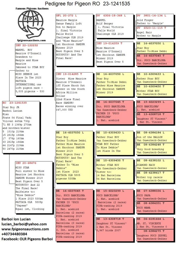 RO 23-1241535 Star Boy JR Barboi Lucian Frate 84 Final Vadu  Volovat 448km 730p  71 HS 3 1369p 270km  and brother/sister  5  1810p 219km  15 2615p 164km  17  876p 160km  33 2615p 164km  44 2147p 219km  50 2470p 219km  50  876p 160km Nepot Star Boy father to Miss Debbi Father Miss Maurice 1st Knockout SAMDPR Winner 2019 Best Pigeon Over 5 HOTSPOTS! And The Final Race! Father To ”Miss Debbie”  1st Place  2023 PATTAYA OLR 5805 pigeons 530Km Father to 24th Place Thailand Grand Final Pigeon Race 2019 Father To “Sapsan” Equal 1st, Clocking 9th In Final Race 505km Co Winner Algarve Golden Race 2019