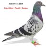 RO 1272134 2023 M Milian+Pamfil+Gombos