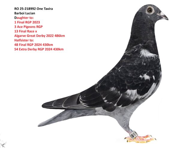 新品未使用 8本セット チャップアップ 育毛ローション