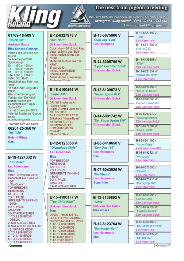 6254-25-350 Femela  Roland Kling tata Andreas Drapa super zburator BULK, mama nepoata Kittel Dirk Van den Bulk