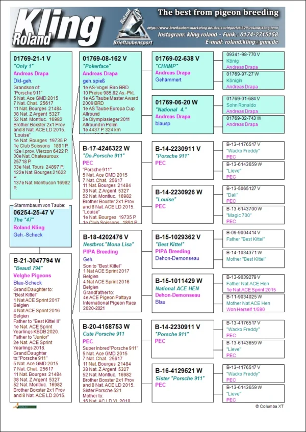 DV 6254-25-41 Mascul Roland Kling tatal este fiu Pokerface Andreas Drapa si nepot Porasche 911, mama este nepoata Best Kittel si Porasche 911 PEC