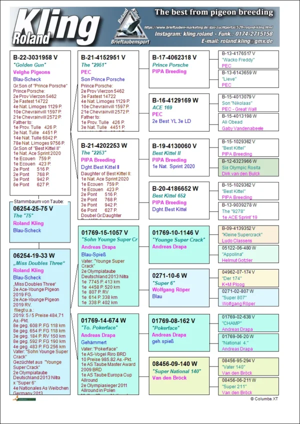 DV 6254-25-75 Mascul Roland Kling mama super zburatoare Miss Doubles Three 2 Ace Young pigeons FG, nepoata Younge Super Crack si Pokerface Andreas Drapa, tatal este nepot Best Kittel II si Prince Porsche