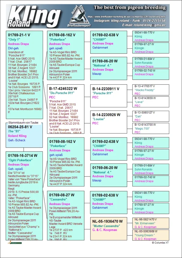 25-81 DV 6254-25- 81 Mascul Roland Kling Dublu nepot Pokerface Andreas Drapa, tata este si nepot Porsche 911 PEC, mama este fiica Pokerface x Casandra