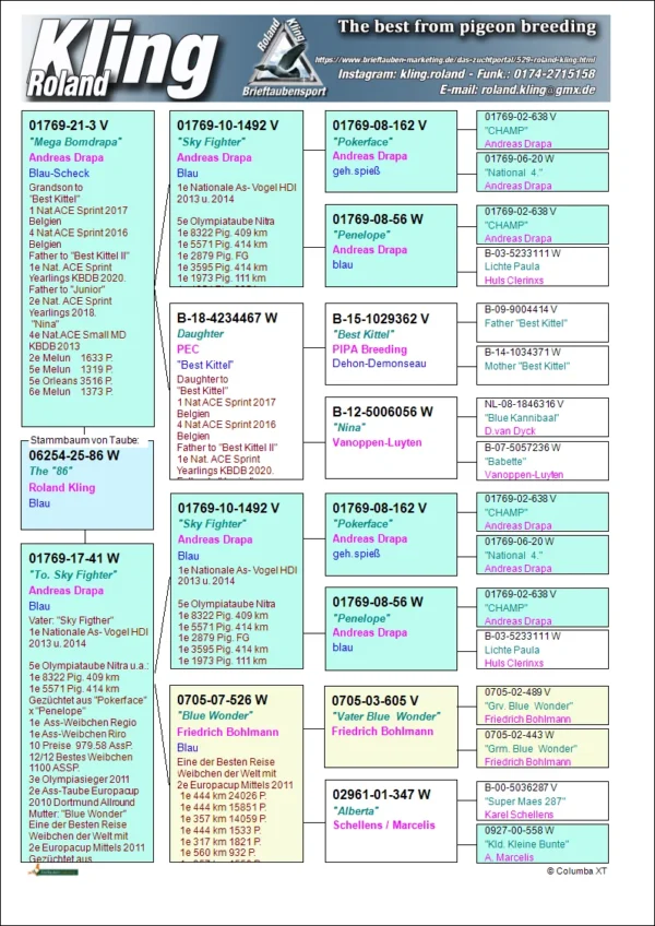 25-86 DV 6254-25-86 Femela Roland King Dubla nepoata Andreas Drapa Sky Fighter 1 National AS Vogel HDI, tatal este si bepot Best Kittel