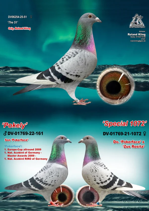 DV06254-25-51 hen-3 in 1 DV 6254-25-51 Femela Roland Kling Dubla nepoata Pokerface Andreas Drapa