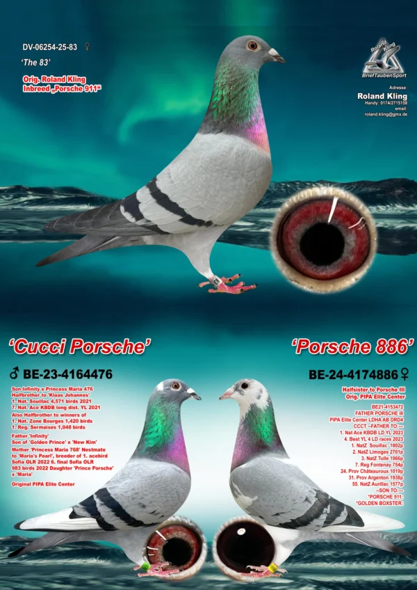 DV06254-25-83 hen-3 in 1 DV 6254-25-83 Femela Roland Kling din doi original Pipa Elite Center tatal nepot Prince Porsche, Maria si New Kim Gaston wd Wouwer, Golden Price Gino Clicque, mama este semisora cu Porsche III Noul star PEC si nepoata Prince Porsche