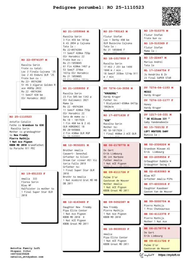 RO 25-1110523 Antofie Catalin Fathe is Grandson to 638 Racolta Sorin Mother is grandaughter  to New Freddy Pierre Mathijs 1 Nat Ace Pigeon KBDB MD 2010 Grandfathet to Porsche 911 PEC