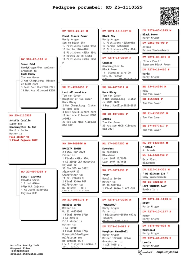 RO 25-1110529 Antofie Catalin Super top Grandaughter to 866  Racolta Sorin Mother is Full sister to  1 Final Cajvana 2022