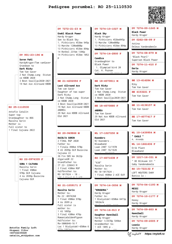RO 25-1110530 Antofie Catalin Super top Grandaughter to 866  Racolta Sorin Mother is Full sister to  1 Final Cajvana 2022