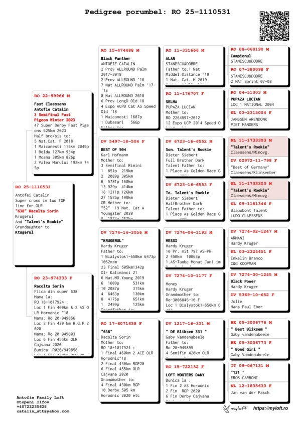 RO 25-1110531 Antofei Catalin Super cross in two TOP line for OLR "638" Racolta Sorin Krugerul And "Talent's Rookie" Grandaughter to Ktugerul