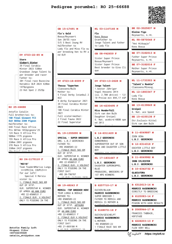 RO 25-66688 Antofie Catalin Full brother/sister to: 160 Final Giewont FCI  OLR 503km 2309 Pigeon Halfbrother to: 648 Final Race Africa  Pro 601km 1653pigeons'25 124 Race 9 Africa Pro  508km 1775 pigeons 155 Race 6 Africa Pro  330km 2091 pigeons 378 Race 5 Africa Pro 330km 2437 pigeons 30* Final race Bucovina Horodnic OLR 2024 420km 1479pigeons 23 Hot Spot 2 2525p 30* Final race Bucovina Horodnic OLR 2024 420km 1479pigeons 23 Hot Spot 2 2525p