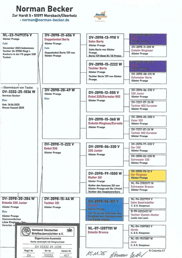 DV 3332-25-1036 Femela Norman Becker semisora cu ea locul 1 din 1281p.