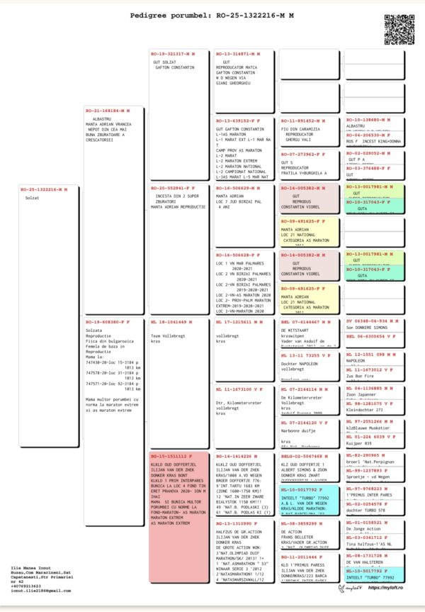 RO 25-1322216  M Manea Adrian nepot Bulgaroaica cea mai buna reproducatoare