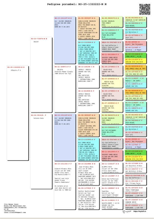 RO 25-1322222 M Manea Ilie linie Oud Doffertije/Rodico/Olympic Bles