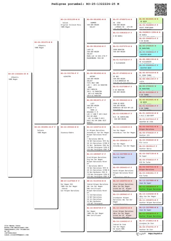 RO 25- 1322224 Mascul Manea Ilie 100% Van Der Wegen