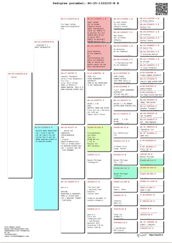 RO-25-1322230 M Manea Ilie fiu din super zburatoarea, LOC 1-2169-P-1087-KM  LOC 90-1209-P-1013-KM  LOC168-1027-P-1091-KM  NORMA MARATON EXTREM SI  AS MARATON EXTREM