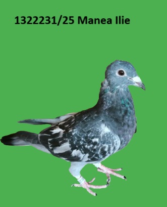 1322231 p RO 1322221 25 Femela Manea Ilie nepoata din locul 1 judet maraton maturi Grand Prix 2019