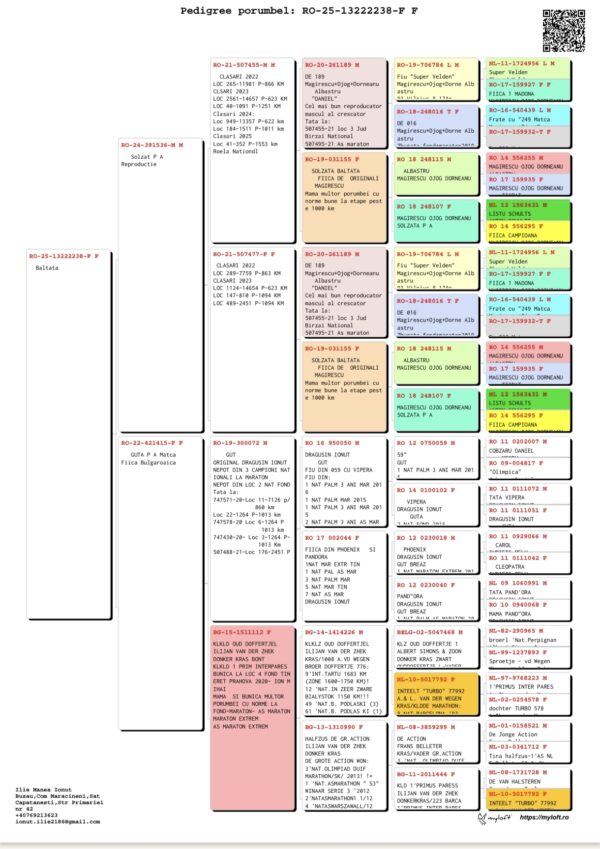 1322228 25 Manea Ionut nepoata din super zburatori de maraton Dragusin/Magirescu/Ojog/Dorneanu, Super Velden/Vipera