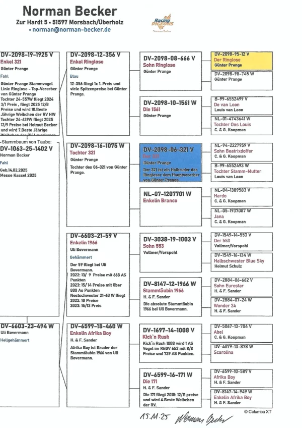DV 1063-25-1402 Mascul Norman Becker tatal stanepot riglose 12 si un foarte bun reproducator, mama este Frank Sander /Koopman