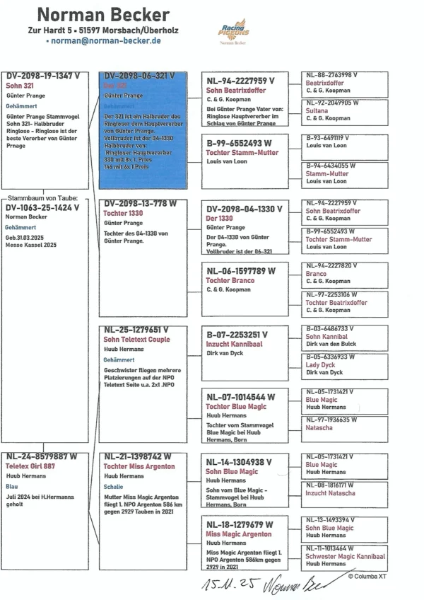 DV 1063-25-1424 Norman Becker Mascu l tata este fiu"321" Gunter Prange, mama consangvinaBlue Magic Hermans Huub