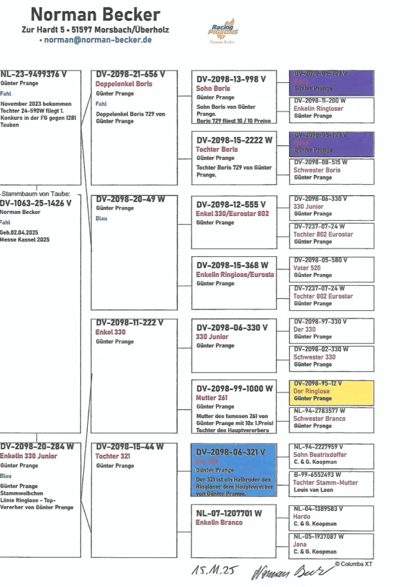 DV 1063-25-1426 Norman Becker Mascul  consangvin Ringlose 12 Gunter Prange semifrate cu loc de 1!!!