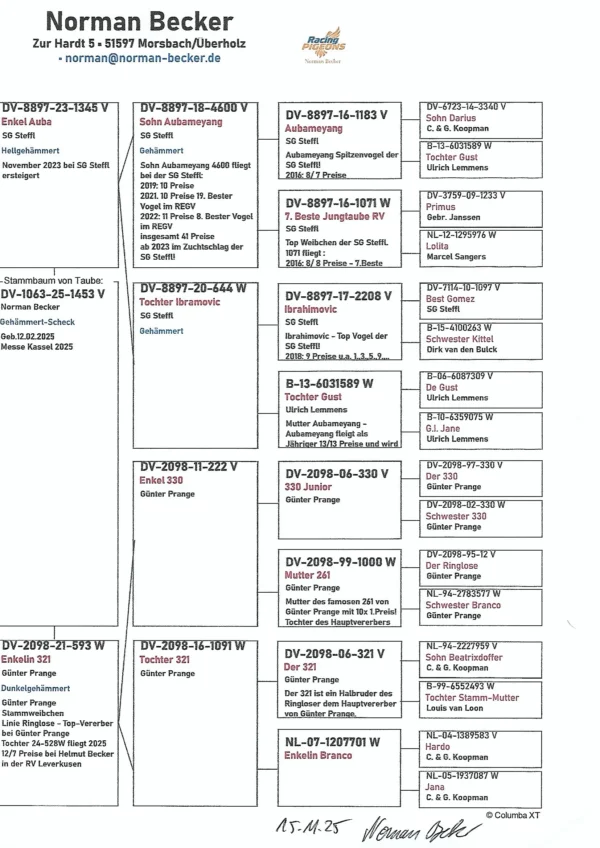 DV 1063-25-1453 Mascul Norman Becker tatal original Martin Steffl nepoat Ibrahimovici, mama nepoata 321 semifrate Ringlose 12 Gunter Prange