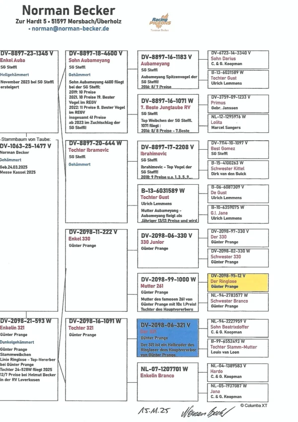 DV 3332-25-1477 Mascul tatal original Steffl nepot Ibrahimovitc, mama nepoata  "321" brother ringlose