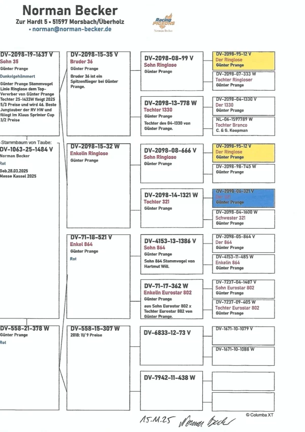 DV 1063-25-1484 Mascul Norman Beker un super porumbel 100% Gunter Prange