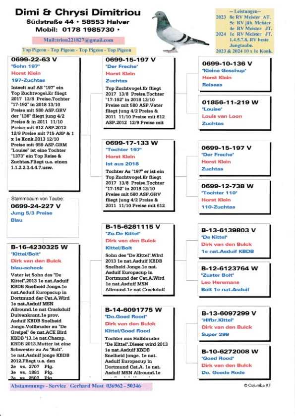 Dv 0699-24-227 Mascul zburat la pui 5 etape in Germania, mama este o nepoata consangvina a faimosului KITTEL Dirk van den Bulk si nepoata din Goed Rood super reproducatoare, tatăl este consangvin pe 197 Hort Klein super reproducator.