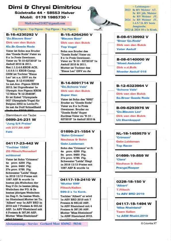 DV 0699-24-231 Femela Dimi&Chrysi Dimitriou porumbelul este zburat in Germania 5 etape la pui, tatăl este nepot consangvin  din fratele lui Goede Rode tatăl lui Kittel Dirk van den Bulk, mama este originala Team Kallen ceai mai buni zburători din Germania in ultimi 4 ani, este nepoata din super zburatorul si reproducatorul Crimson tata locului 1 As Germania la rândul ei femela este nepoata din Alber locul 1 AS Germania 2019.