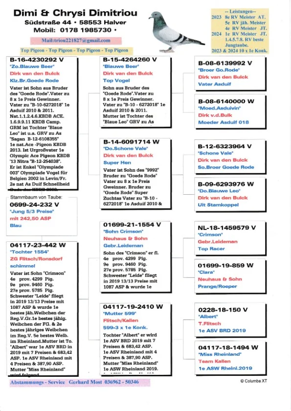 DV 0699-24-232 Mascul Dimi&Chrysi Dimitriou porumbelul este zburat in Germania 5 etape la pui, tatăl este nepot consangvin  din fratele lui Goede Rode tatăl lui Kittel Dirk van den Bulk, mama este originala Team Kallen ceai mai buni zburători din Germania in ultimi 4 ani, este nepoata din super zburatorul si reproducatorul Crimson tata locului 1 As Germania la rândul ei femela este nepoata din Alber locul 1 AS Germania 2019.