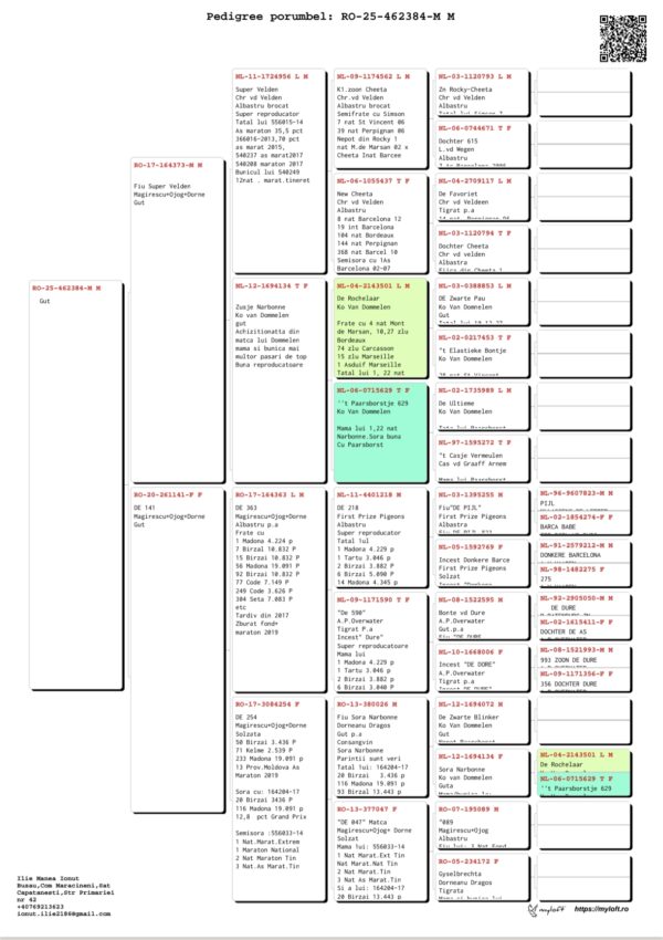 RO 25-462384 M Manea Ilie 100% Magirescu/Ojog/Dorneanu nepot Super Velden