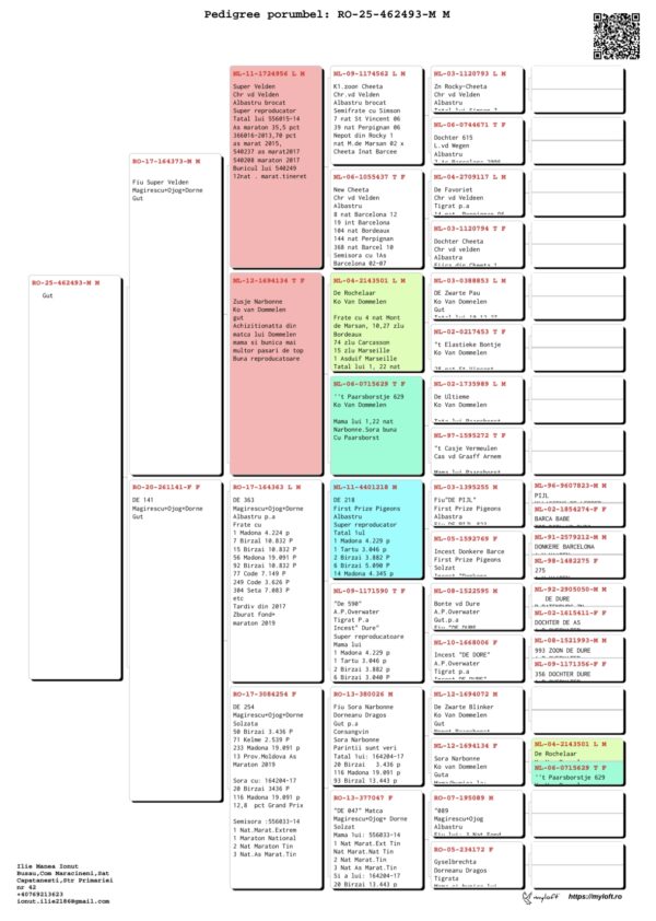 RO 25- 462493 M Manea Ilie nepot Super Velden 100% Magirascu/Ojog/ Dorneanu nepot Locul 1 Madona