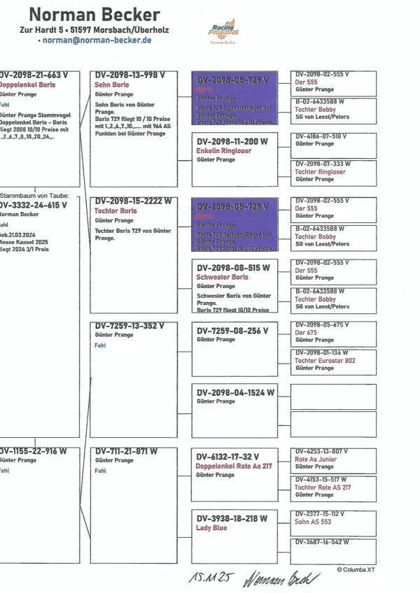 DV 3332-24-615 Mascul Norman Becker mascul  zburat ca pui, tata dublunepot Boris super zburator