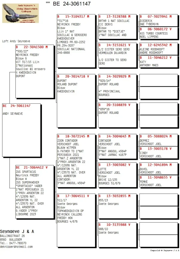 BE 3061147 2024 Femela Andy Seynaeve Tatat Sero Sero Antony Maes/ Mama Contador Joel Verschoot  sora Spartacus nepot Contador super reproducator