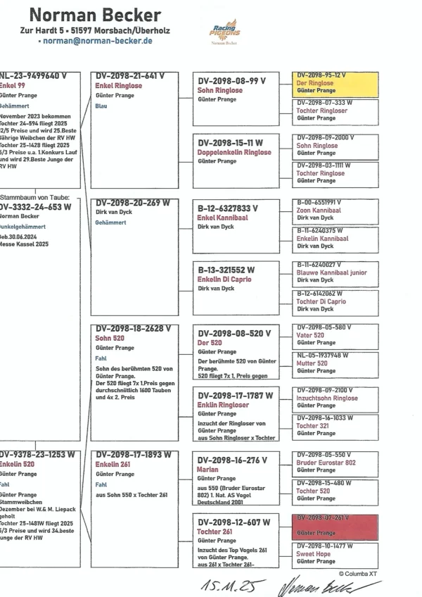 DV 3332-24- 653 Norman Backer Femelaconsangvina Riglose 12 Gunter Prange