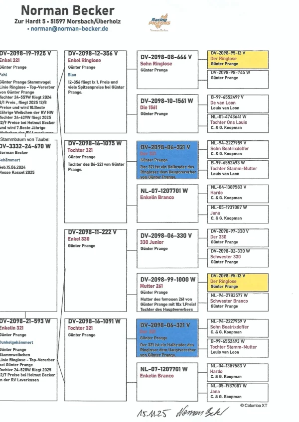 DV 3332-24-670 Femela Norman Backer dubla stranepoat "361 Semifrate Ringlose 12 Gunter Prange