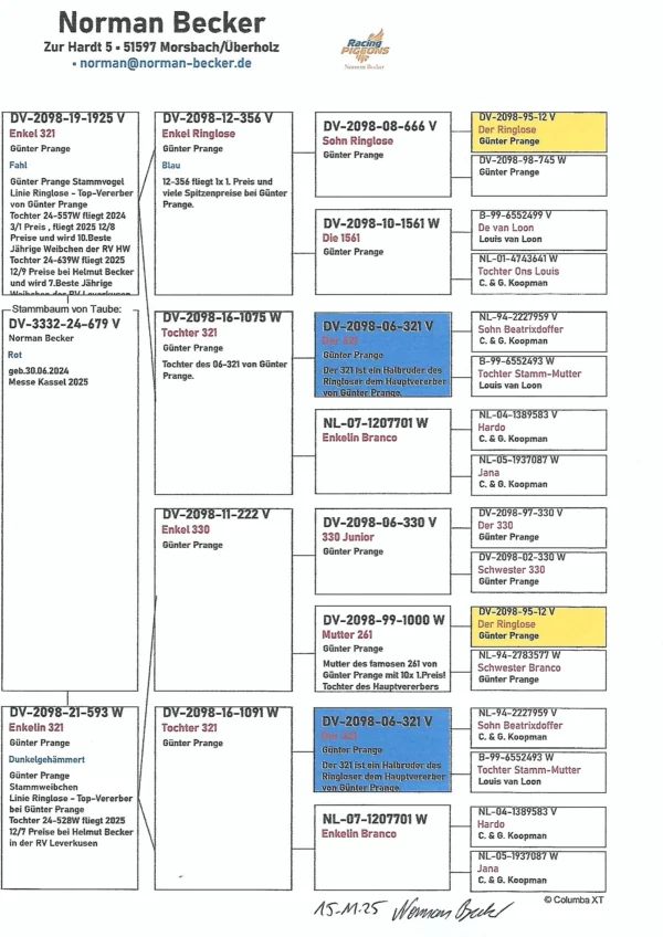 DV 3332-24-679 Mascul Norman Becker Dublu stranepot din "321" super reproducator semifrate cu Ringlose 12