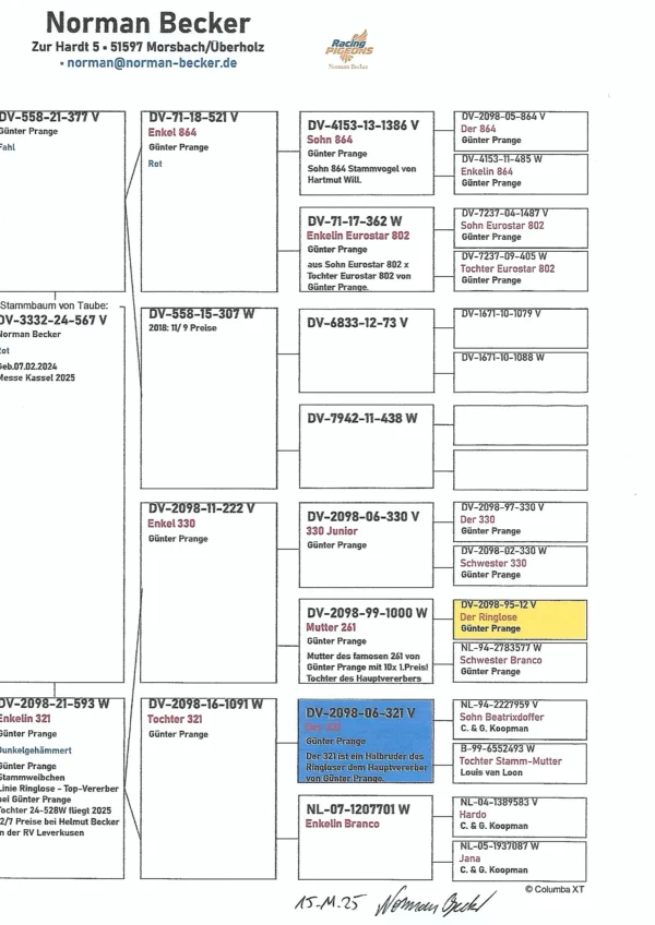 DV 3332-24-567 Mascul Norman Backer 100% Gunter Prange Ringlose 12