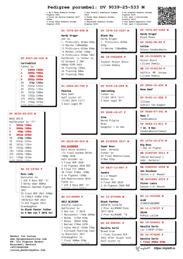 DV 9039-25-533 M Barboi Lucian Halfbrother to "77" 1    5384p 156km  2    2869p 198km 2     568p 129km 6    2852p 364km  13    570p 129km 35   4666p 536km
