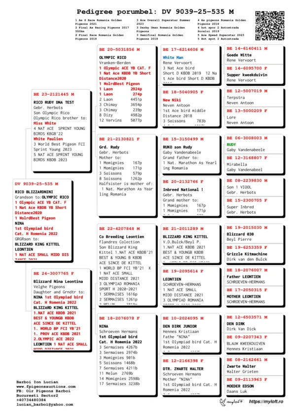 DV 9039-25-535 M Barboi Lucian Grandson to:OLYMPIC RICO 1 Olympic ACE YB CAT. F  1 Nat Ace KBDB YB Short Distance2020  1 WolrdBest Pigeon NINA 1st Olympiad bird Cat. H Romenia 2022 GRGRson to:  BLIZZARD KING KITTEL LEONTIEN 1 NAT ACE SMALL MIDD DISTANCE 2021
