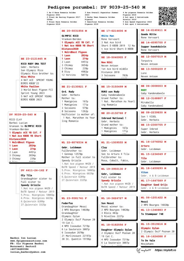 DV903925540M DV 9039-25-540 M RICO CLAY Barboi Lucian Grandson to OLYMPIC RICO Vranken-Berden 1 Olympic ACE YB CAT. F 1 Nat Ace KBDB YB Short Distance2020 1 WolrdBest Pigeon 1 Laon 2924p 1 Laon 274p 2 Laon 4451p 3 Chimay 3654p 3 Chimay 239p 8 Dizy 4982p 12 Vervins 5077p