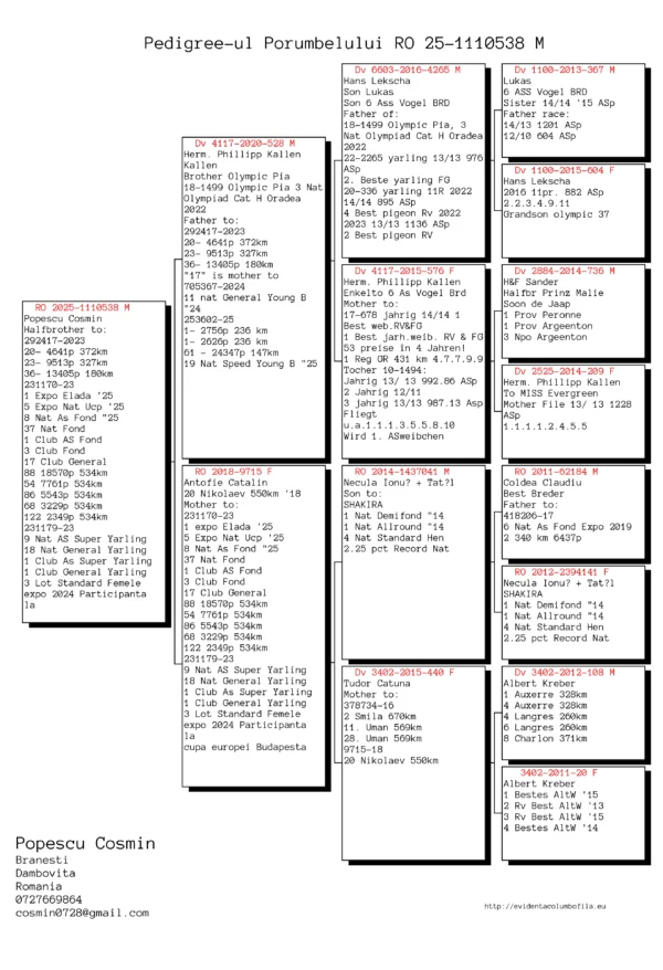 RO 2025-1110538 M Popescu Cosmin Halfbrother to: 292417-2023 20- 4641p 372km 23- 9513p 327km 36- 13405p 180km 231170-23 1 Expo Elada '25 5 Expo Nat Ucp '25 8 Nat As Fond "25 37 Nat Fond 1 Club AS Fond 3 Club Fond 17 Club General 88 18570p 534km 54 7761p 534km 86 5543p 534km 68 3229p 534km 122 2349p 534km 231179-23 9 Nat AS Super Yarling 18 Nat General Yarling 1 Club As Super Yarling 1 Club General Yarling 3 Lot Standard Femele expo 2024 Participanta