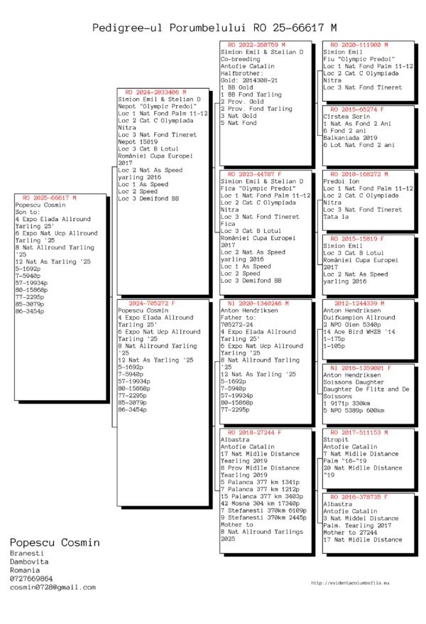 RO 2025-66617 M Popescu Cosmin Son to: 4 Expo Elada Allround Yarling 25' 6 Expo Nat Ucp Allround Yarling '25 8 Nat Allround Yarling '25 12 Nat As Yarling '25 5-1692p 7-5940p 57-19934p 80-15868p 77-2295p 85-3079p 86-3454p