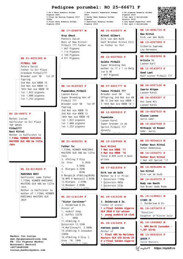 RO 25-66671 F  Barboi Lucian Halfsister to 5x1 Place TOP SPEED Pitbul777 Best Kittel Mother is halfsistet to  1.FINAL WINNER MARISMAS MASTERS OLR 486 km 1221m/min