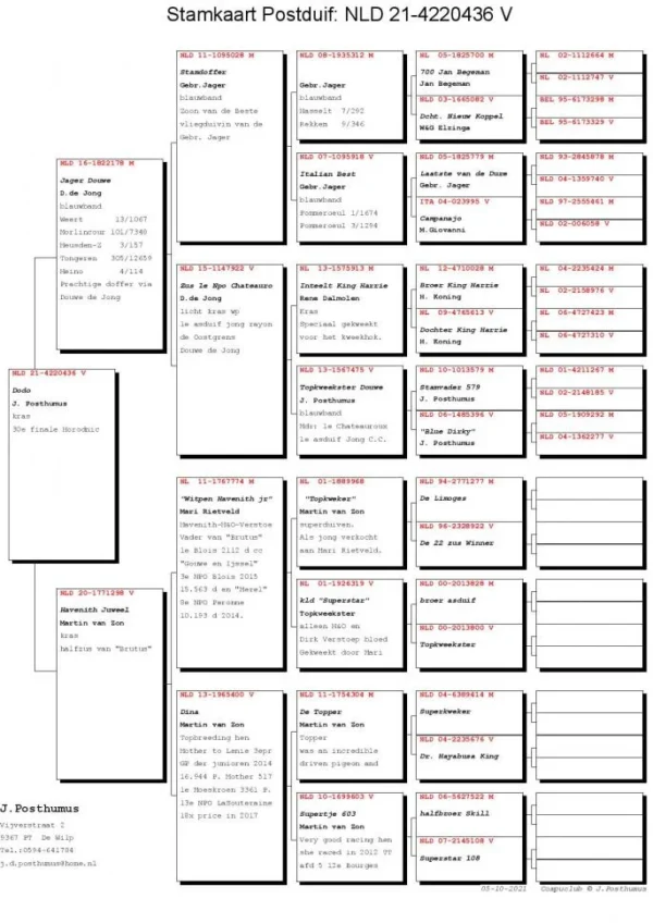 NL 21-4220436 Femela Team DODO J. Posthumus  30 Final Horodnic de Sus Bucovina OLR 2021 NOT RING CART!!!