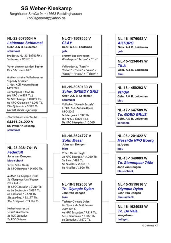 DV 4411-24-222 Mascul Goed Arturo SG Weber-Kleekamp Grandson to 1.Nat Ace pige WHZB/BoTB Speed / Natour in 2019 5.Prov. Niergnies 10065p 6.Prov. Niergnies  6829p 6.      Quievrain  6209p 27.     Quievrain  3325p Basketed 4 times in her total career !!!Raced at Eijerkamp Speedy Grizzle is (gr)mother 1.Prov. Ace Young SFG 2022 1.Rudenhausen 6.341p 4.Prov. Ace Allround Afd 8'24 5.Nat. Ace Short-dist. NPO'24 6.Prov. Niergnies 9.870p